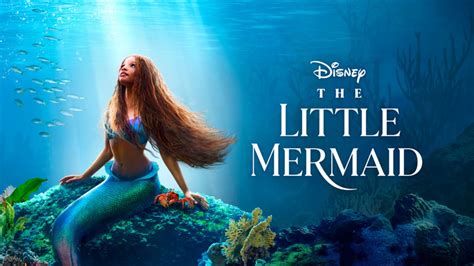 the little mermaid 2023 porn|Disney accidentally hired adult film star for The Little Mermaid